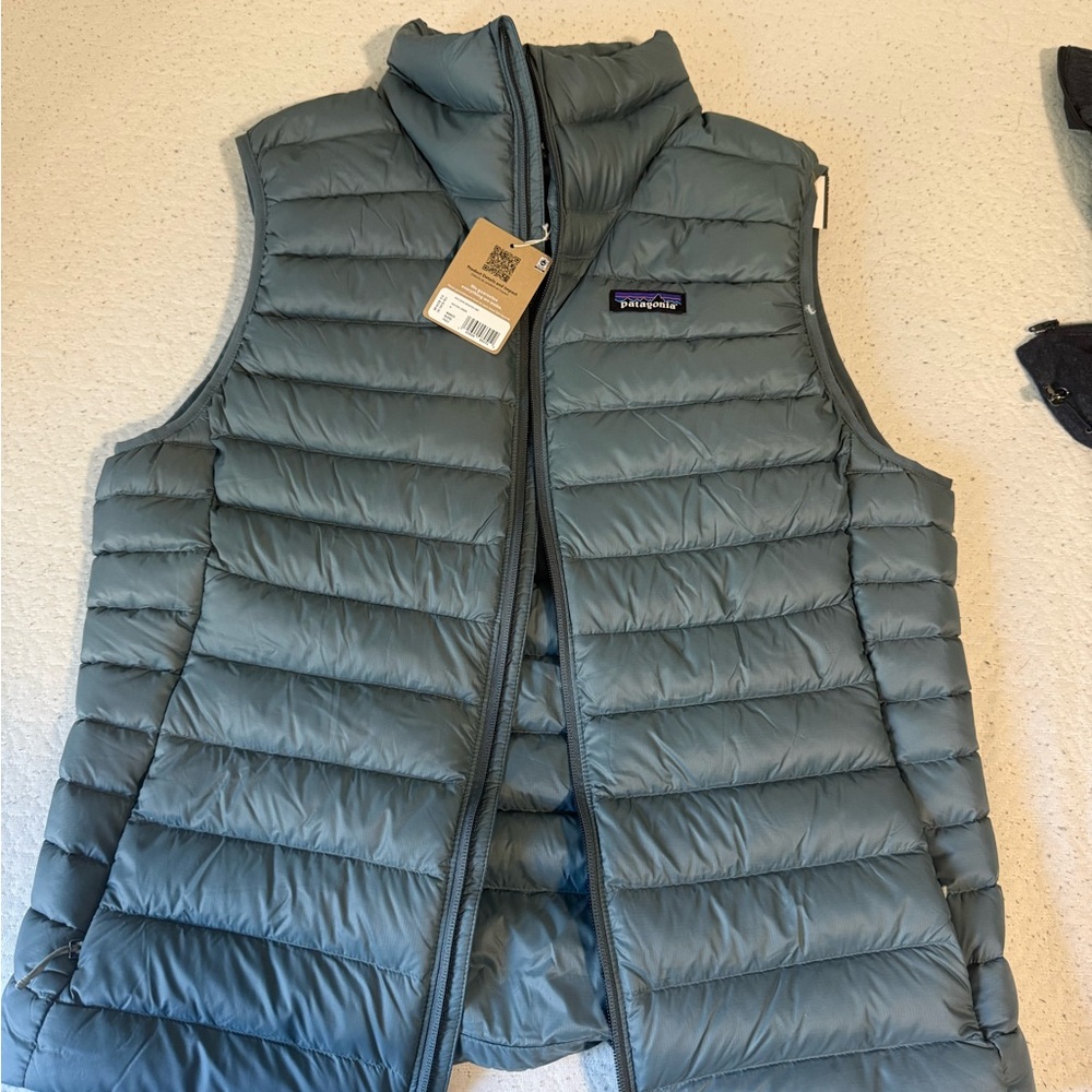 Patagonia men’s down Vest